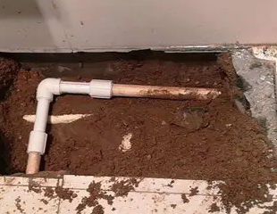 湖里测漏水哪家好