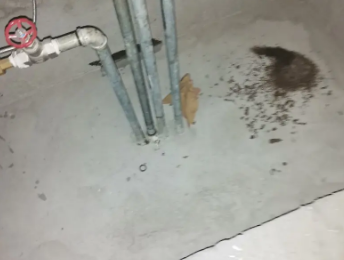 湖里卫生间测漏水价格明细