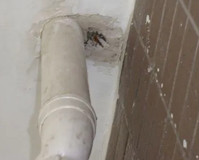 湖里漏水检测哪家好